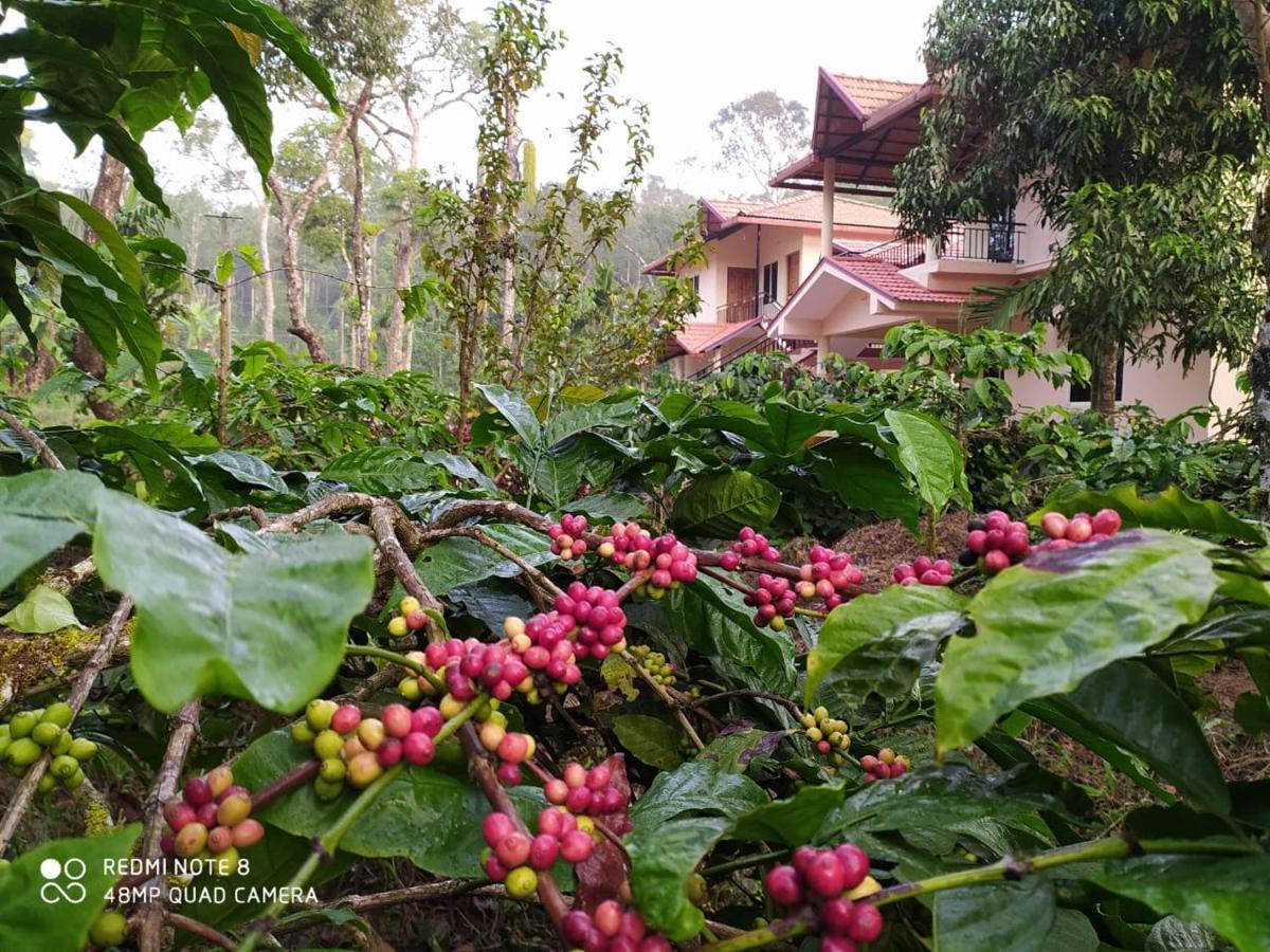 Hotel Wanders In Travel Company Madikeri Zewnętrze zdjęcie
