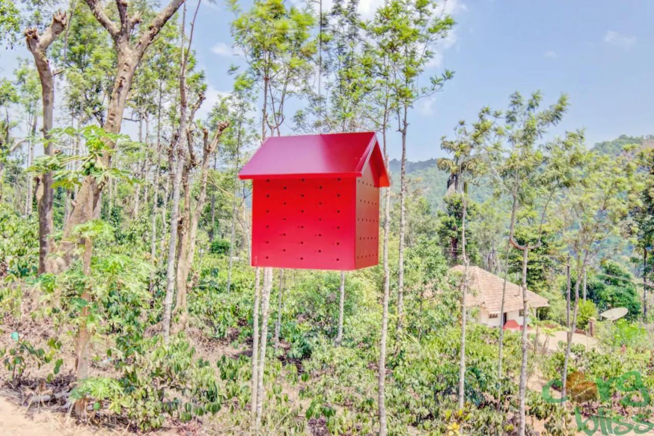 Hotel Wanders In Travel Company Madikeri Zewnętrze zdjęcie