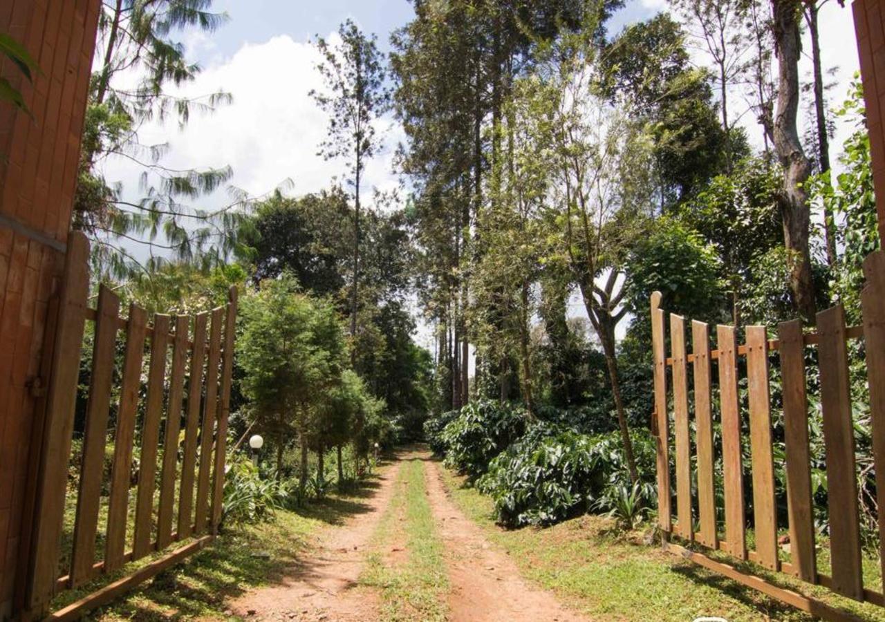 Hotel Wanders In Travel Company Madikeri Zewnętrze zdjęcie
