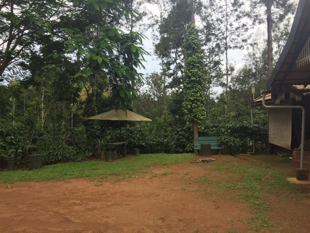 Hotel Wanders In Travel Company Madikeri Zewnętrze zdjęcie